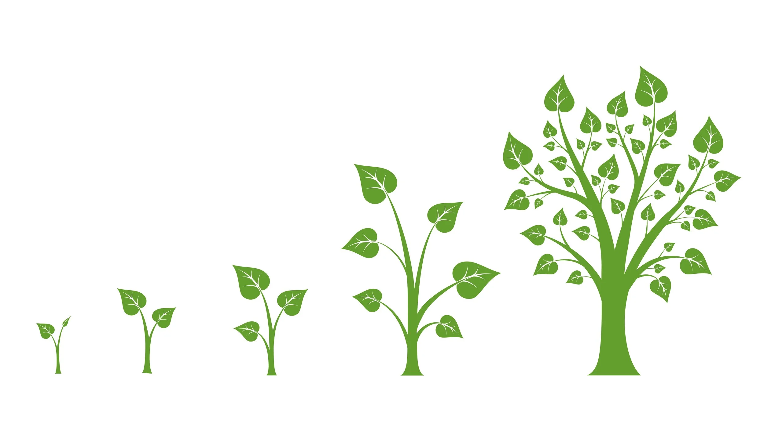 Deliberate Practice – Growing as a Parent
