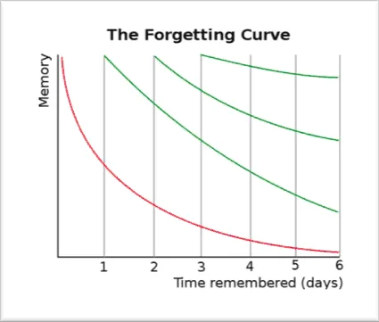 Where Is The "Fun" In Executive Function?