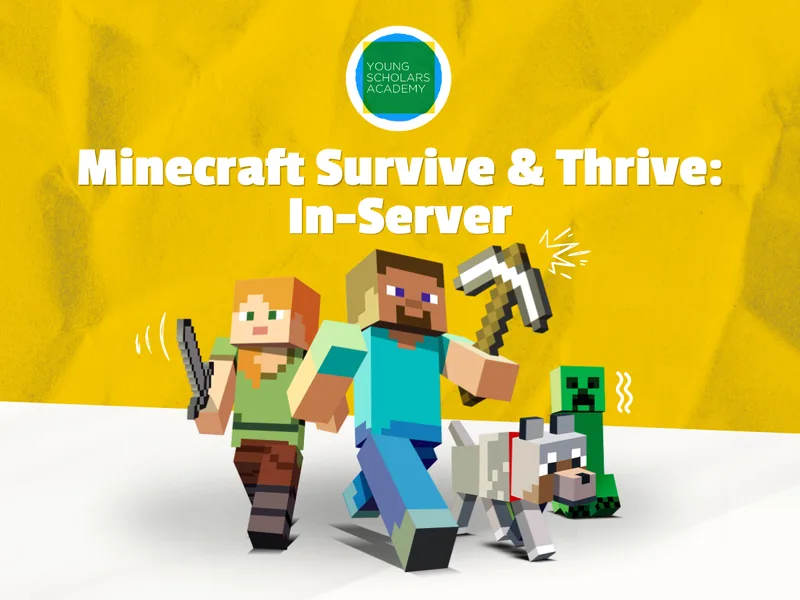 Minecraft Survive & Thrive: In-Server